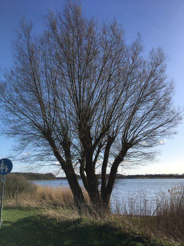Ferienwohnung Am Noor Nahe Schleswig Und Dem Wikingerdorf Haithabu Fahrdorf  Екстер'єр фото