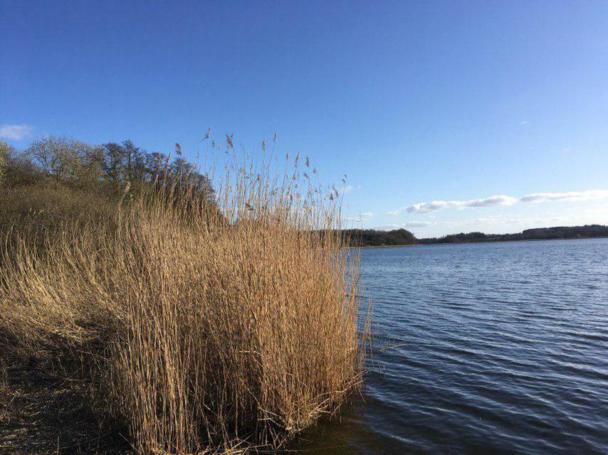 Ferienwohnung Am Noor Nahe Schleswig Und Dem Wikingerdorf Haithabu Fahrdorf  Екстер'єр фото
