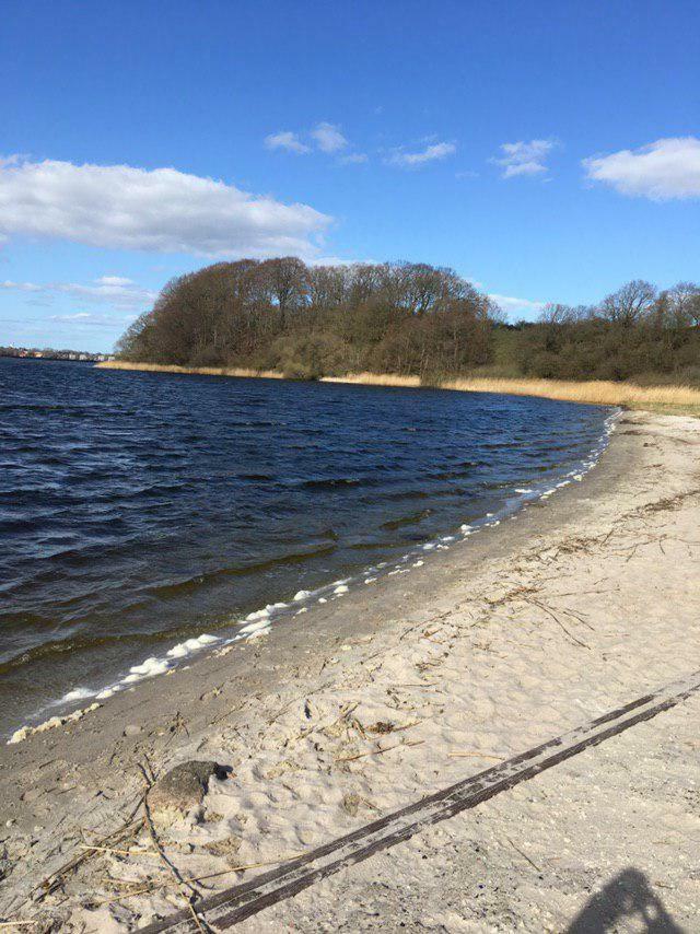 Ferienwohnung Am Noor Nahe Schleswig Und Dem Wikingerdorf Haithabu Fahrdorf  Екстер'єр фото
