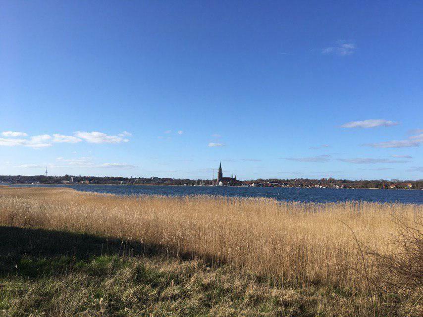 Ferienwohnung Am Noor Nahe Schleswig Und Dem Wikingerdorf Haithabu Fahrdorf  Екстер'єр фото